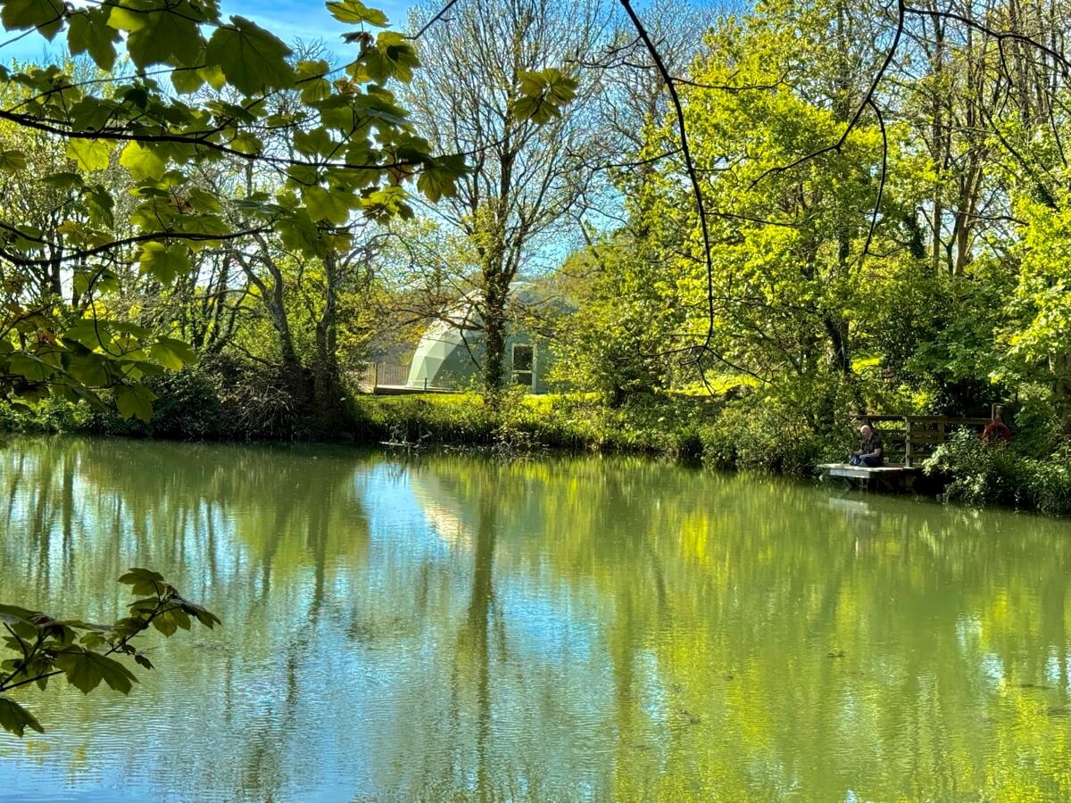 Wildlife lake outside the dome framed by trees and reflections