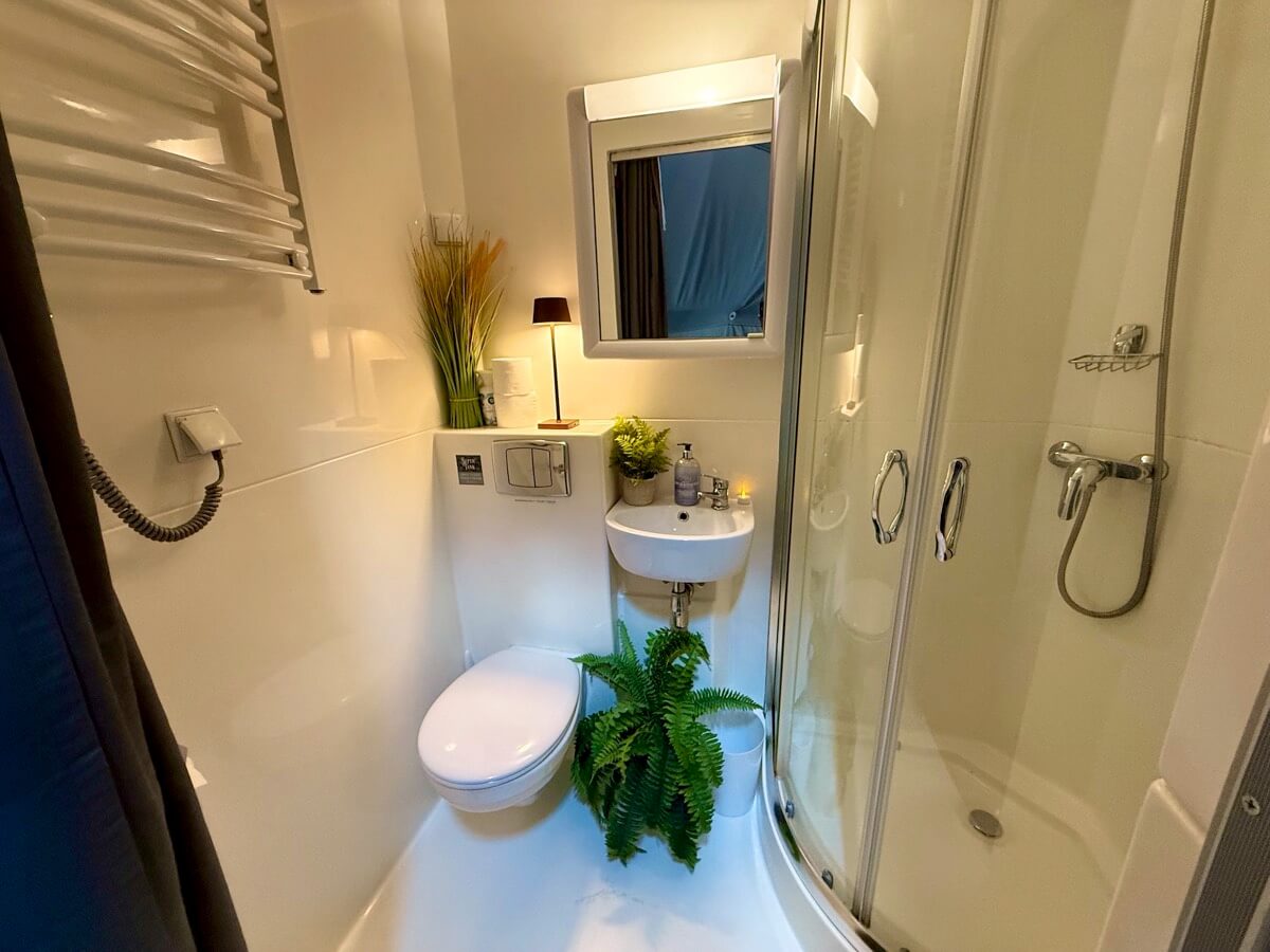 Modern shower room and compact WC with greenery