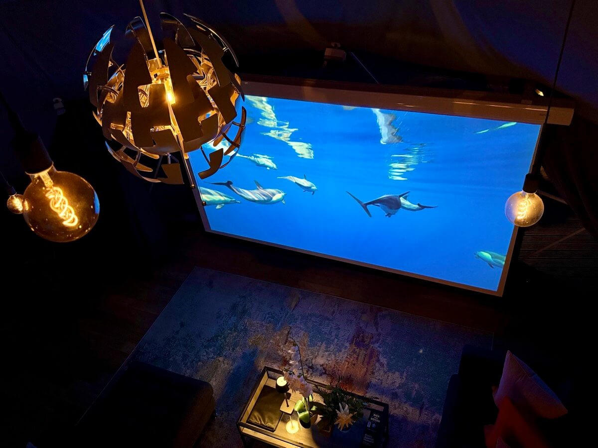 Aquatic scenes on the projector for immersive viewing