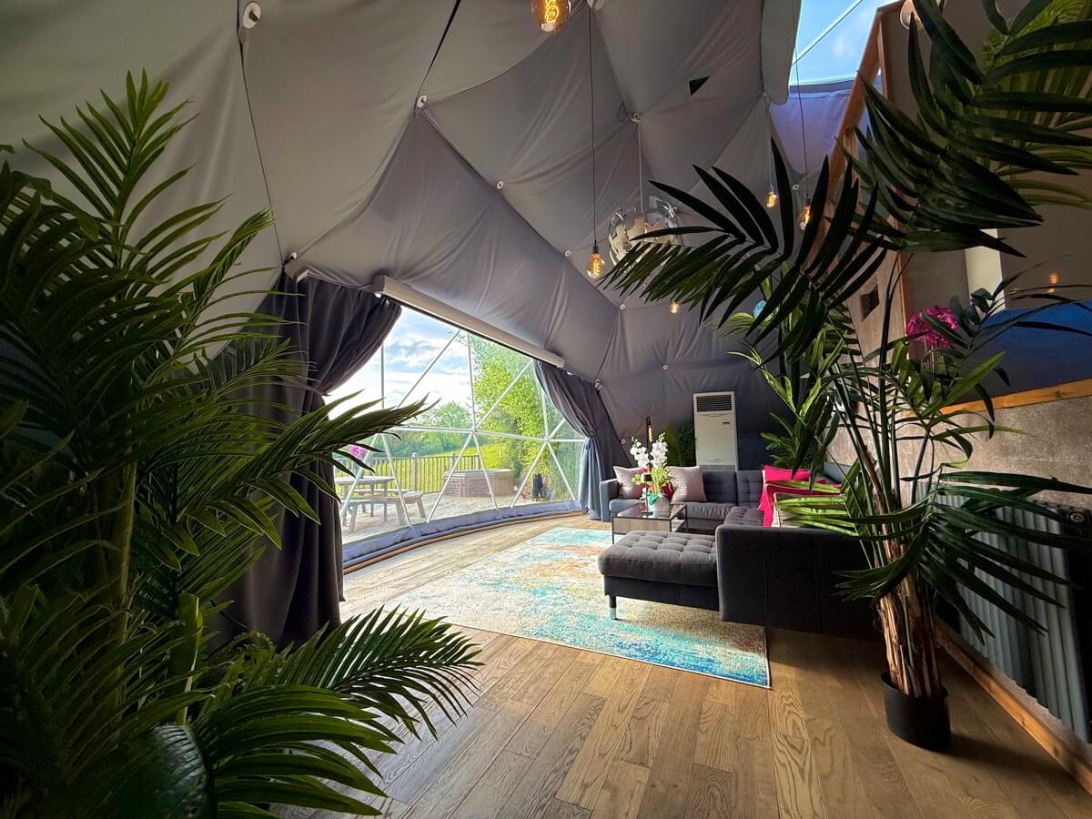 Walkway view toward the lounge and decking through tropical plants