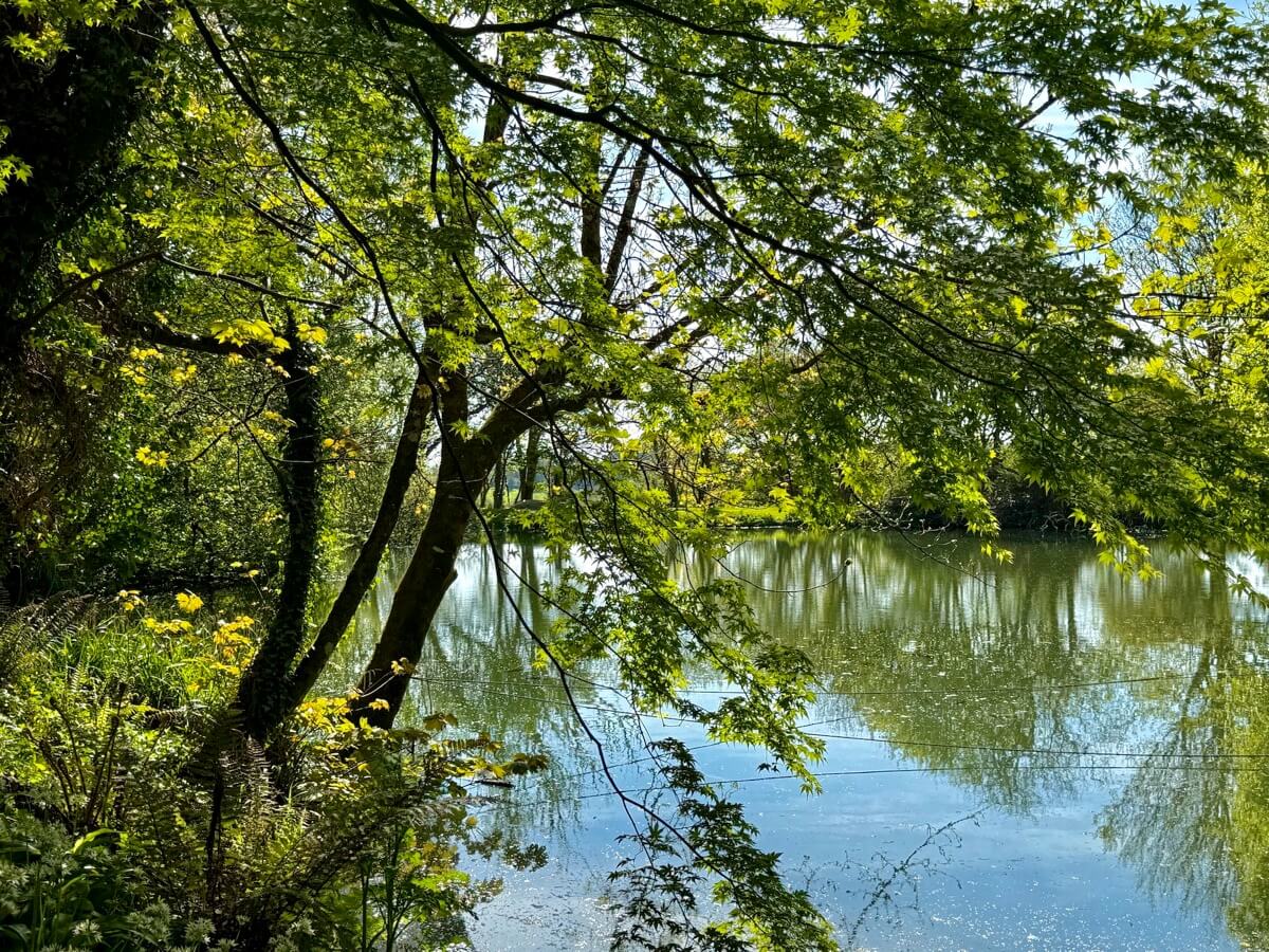Sunridge fishing lake dabbled in sunshine!