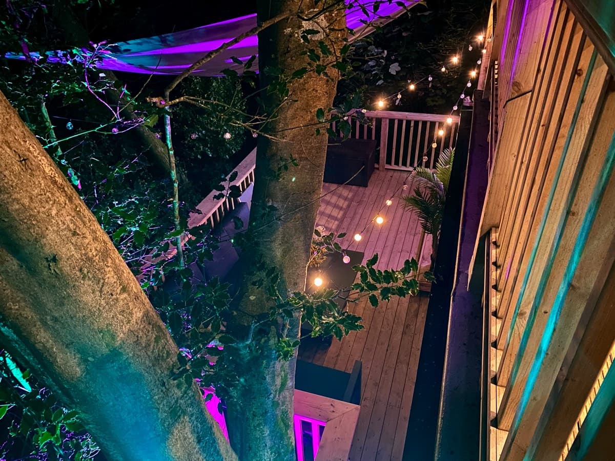 Nocturnal elegance captured at the treehouse