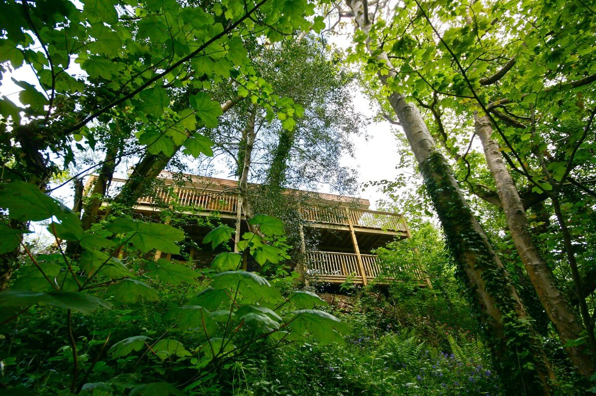 Stacks Image 512